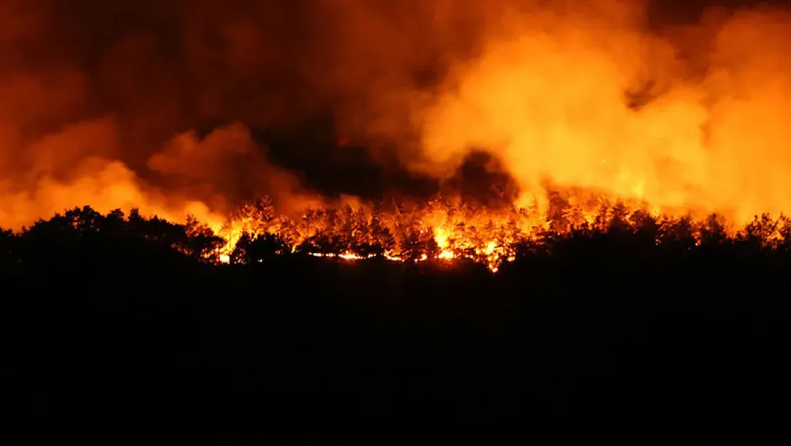 iletisim-baskanligi-761-yangin-kontrol-altinda