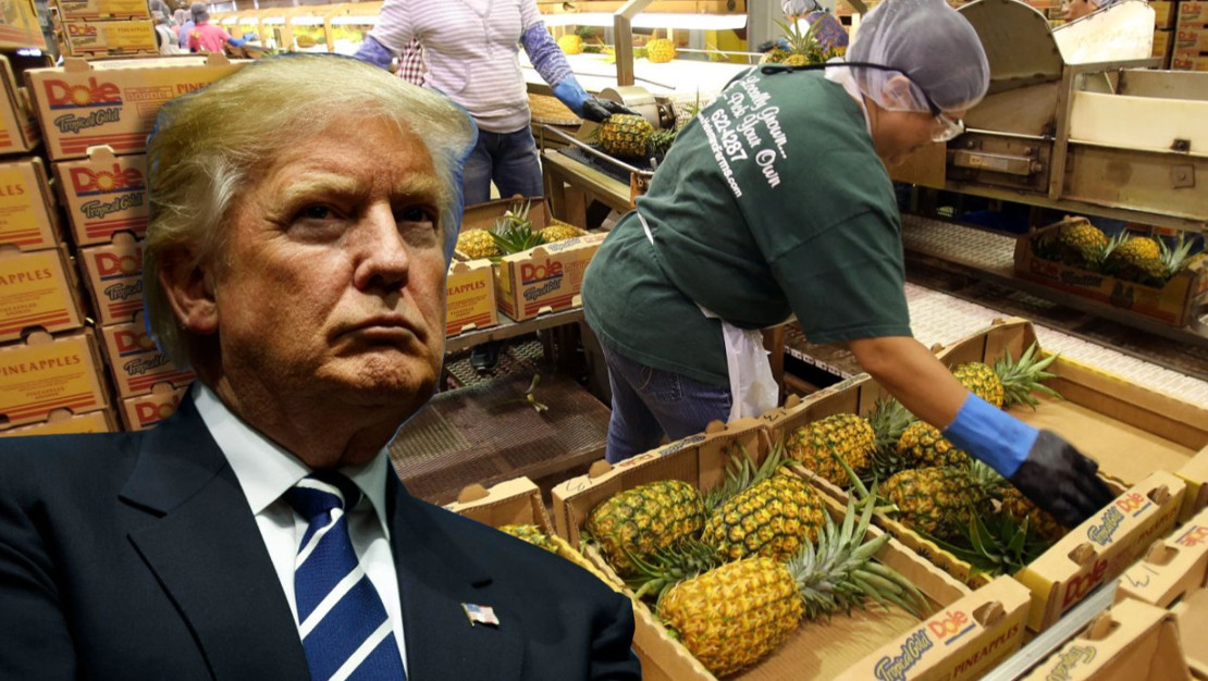 tarim-urunlerine-muafiyet-uygulamasi-basladi