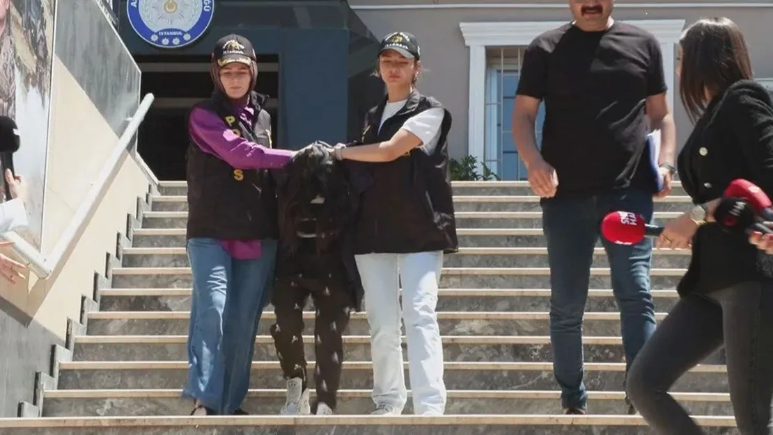 istanbul-da-cinayet-matematik-muhendisi-teslim-oldu