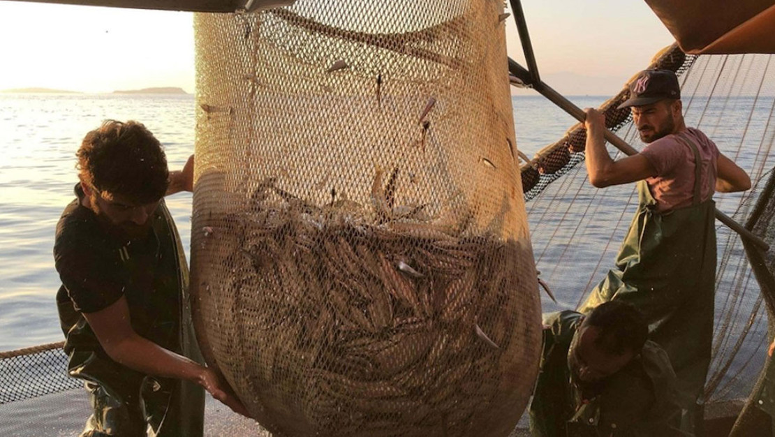 hamsi-avciligi-azaliyor-fiyatlar-yukseliyor