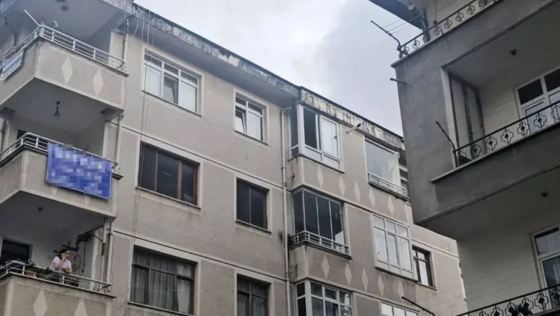 baba-10-gunluk-bebek-5-kattan-dustu