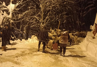 giresun-da-cig-felaketi-1-kisi-hayatini-kaybetti