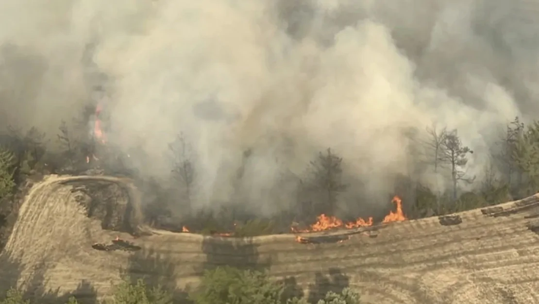 adana-da-orman-yangini-cikti