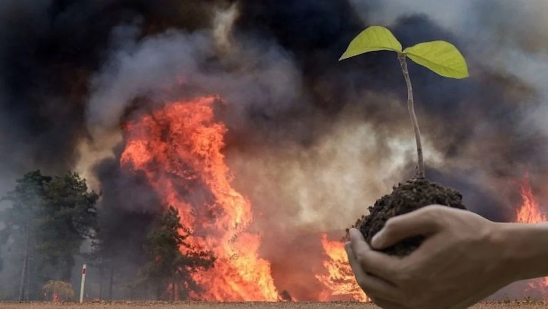 havai-fisekle-ormani-yakan-2-kisi-agac-dikme-cezasi-aldi