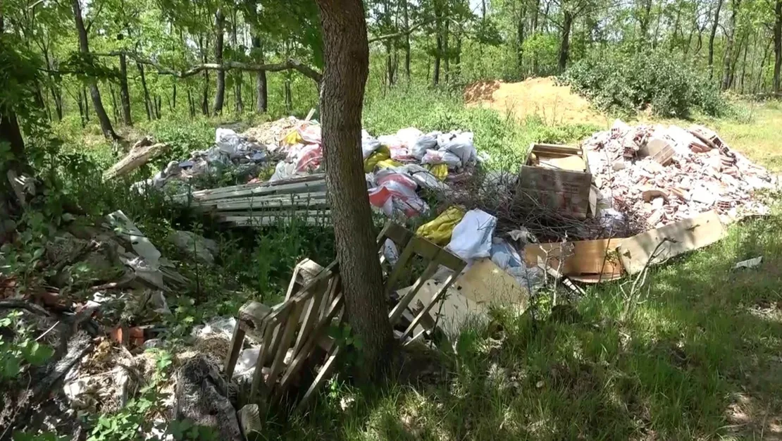 sile-deki-ormanlar-cop-yigina-donustu