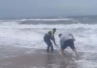 ayvalik-ta-vatandaslar-yunusu-denize-gonderdi