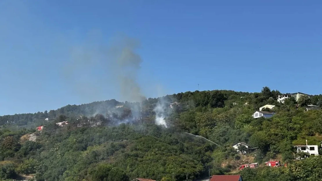 beykoz-daki-ormanlik-alanda-yangin