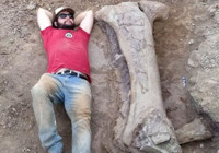 brezilya-da-yeni-dinozor-turu-kesfedildi