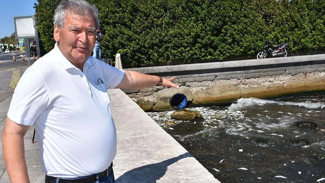 tedirgin-eden-goruntu-balik-tuketmeyin