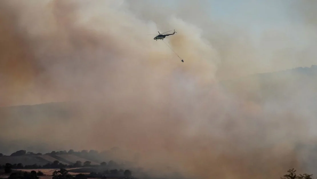 izmir-de-orman-yangini-basladi