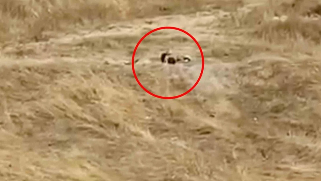 kapakli-da-uygunsuz-goruntuler-iki-genc-gozalti