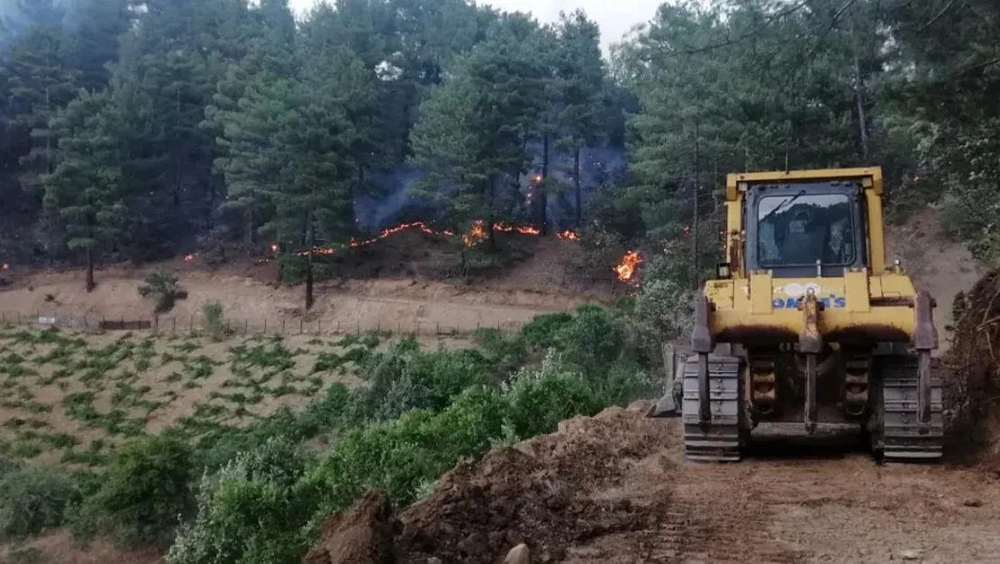 m-s-torpil-atinca-orman-yandi